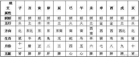 丑五行|十二地支类象详解 – 十二地支阴阳五行属性